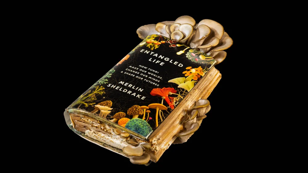 Proost mycelium weekend: entangled life…